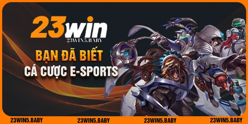 Có thể bạn chưa biết cá cược E-Sports là gì