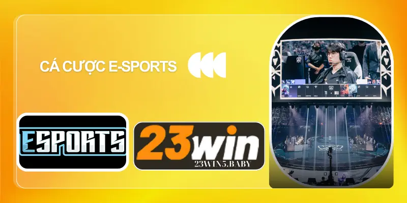 Cá cược e-sports