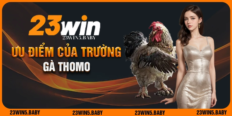 Ưu điểm nổi bật của trường gà Thomo