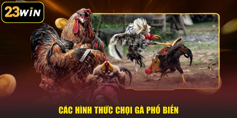 Đá Gà 23win - Sân Chơi Của Những Chiến Kê Đẳng Cấp Các hình thức chọi gà phổ biến