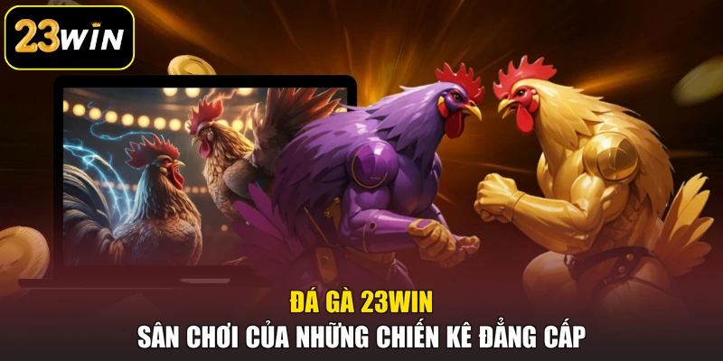 Đá Gà 23win - Sân Chơi Của Những Chiến Kê Đẳng Cấp Đá Gà 23win - Sân Chơi Của Những Chiến Kê Đẳng Cấp
